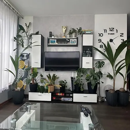 Nowe Zerniki Apartment *